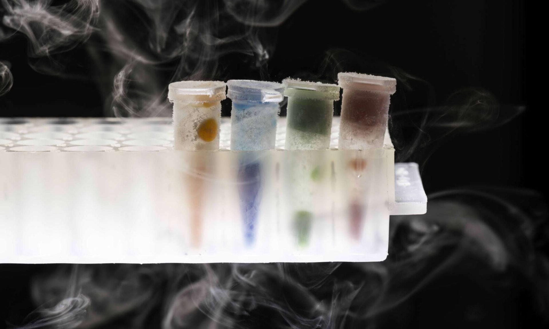 四管, each a different color, containing hydrogels frozen in liquid nitrogen and obtained via 3d bioprinting.